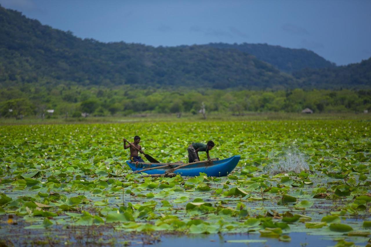 Grand Tamarind Lake Kataragama Eksteriør bilde